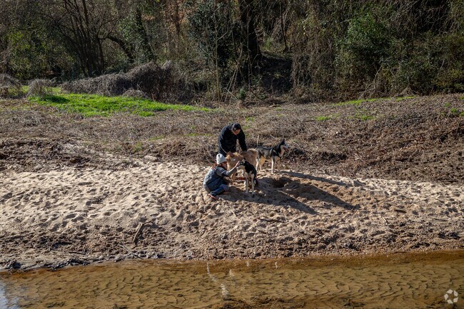Just outside of Woodland Hills, Morningside Nature Preserve offers sandy beaches and a flowing creek—perfect for bringing the pups out for some fun and playtime in nature.