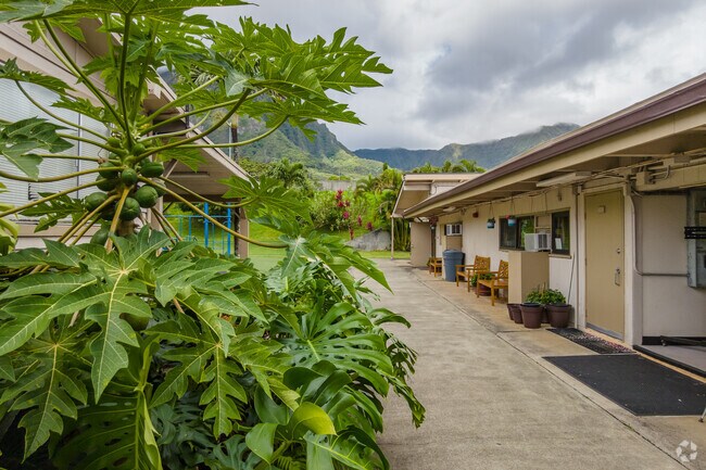 Koolau Baptist Academy's intimate campus fosters a strong foundation of faith and education.