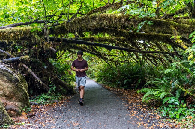 The Redwood State & National Park is home to the tallest trees in the world.