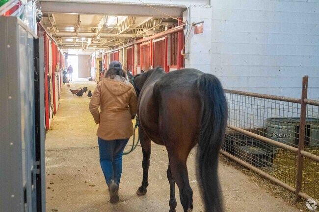 A trainer walking with one of the many horses at Memory Lane Stables in nearby Willow Springs.