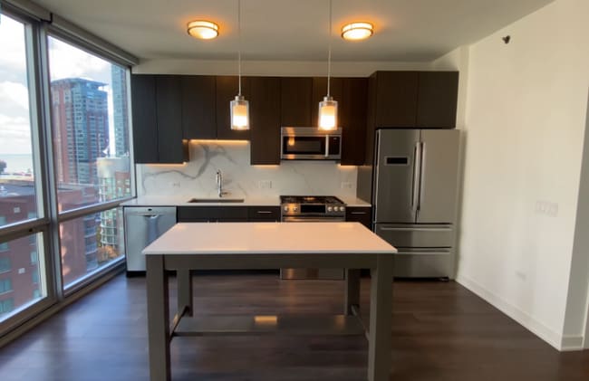 445 N New St, Chicago, IL 60611 - photo 6