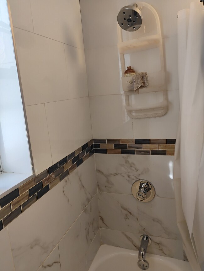 999 Willmohr St unit Walk In-Downstairs, Brooklyn, NY 11212 - photo 3