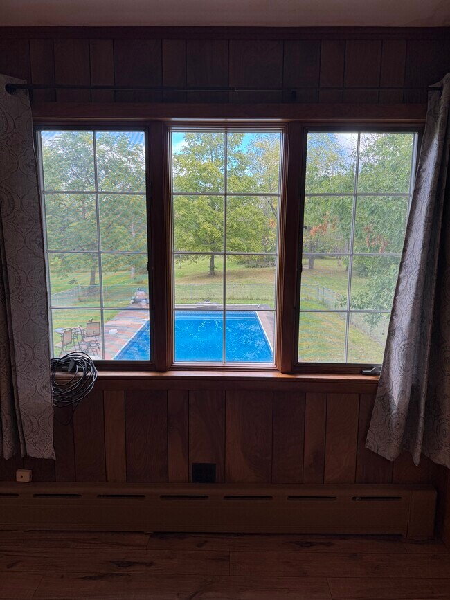 View of backyard thru large window