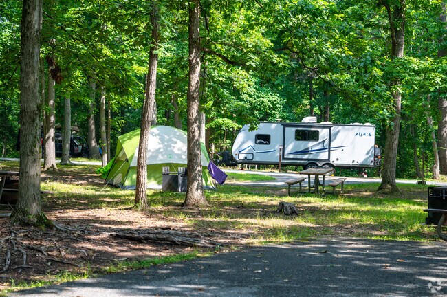 Greenbelt Park has a large camping area, something hard to find in the DC area.