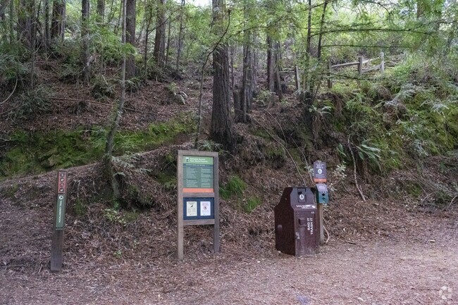 South Magnolia trail hiking can be found at the end of most roads including the Blithedale Loop Trail.