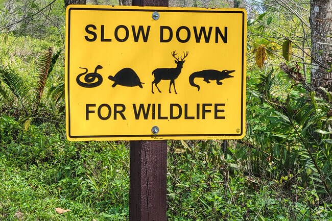 Valencia Sound residents can find a variety of wildlife in Loxahatchee Wildlife Refuge.