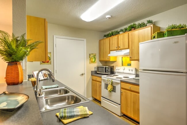 Addison Landing, Jacksonville, FL 32210 - photo 3