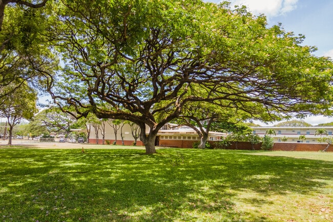 Igniting a passion for learning at Nimitz Elementary, where discoveries fuel endless worlds.