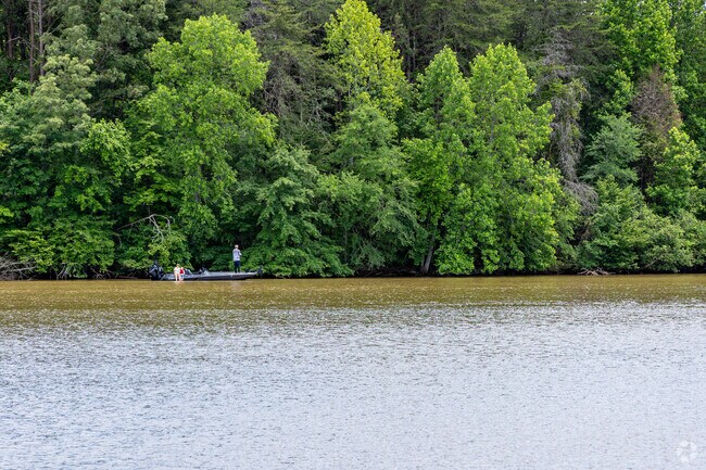 Enjoy an afternoon of fishing on Tellico Lake.