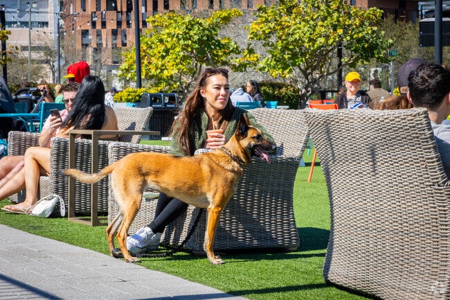 The Channelside district is very pet friendly with a few dog parks close by.