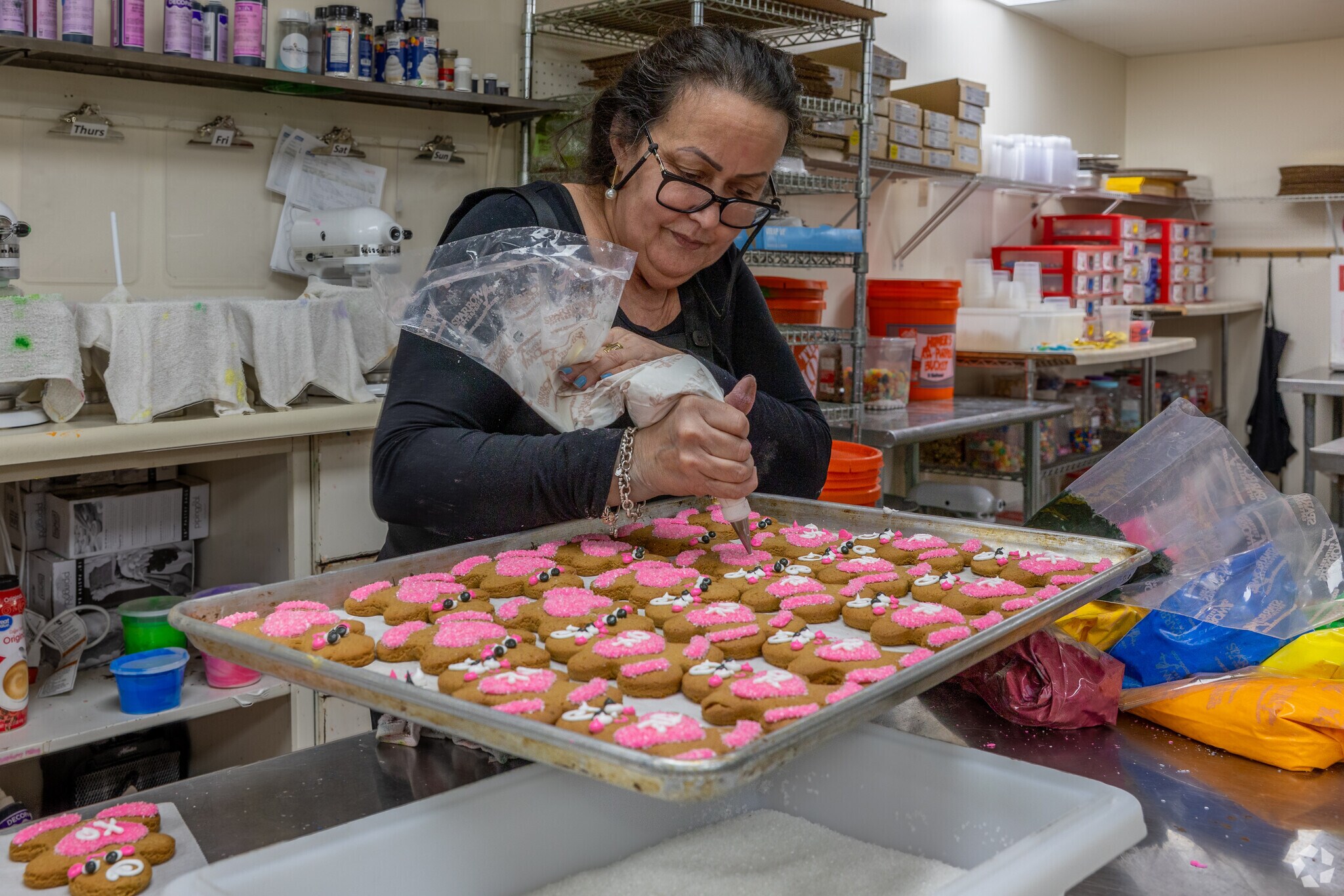 The piping master works on a fresh batch of cookies at Ginger Betty's in Merrymount.