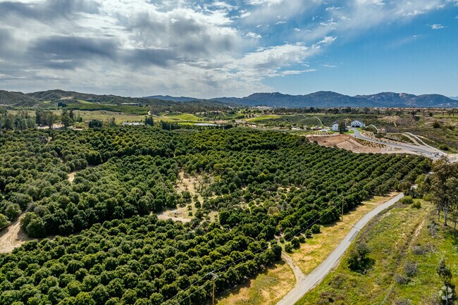 Locals and visitors from all over enjoy the Vail Ranch countryside and wineries.