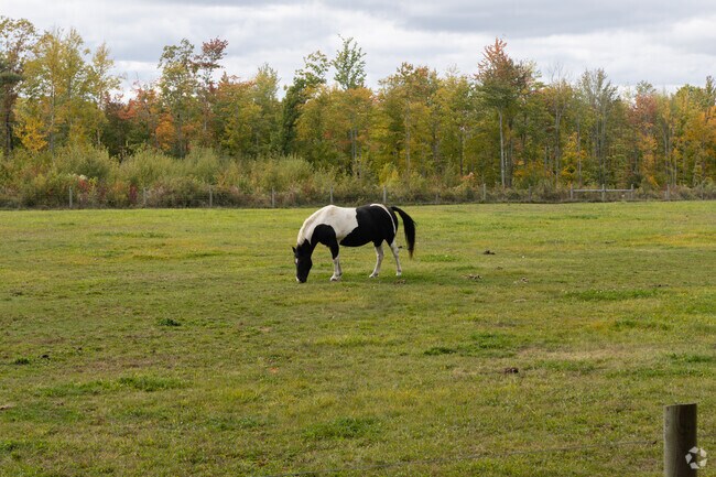 Shapleigh has plenty of rural properties.