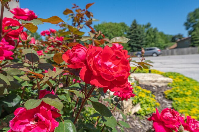 Ashbury is home to multiple acres of grasslands and flowers.