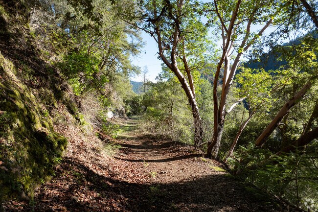 The Trinity River Trail is just one of many adventures to be found in Willow Creek.