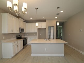 31188 Pendleton Landing Cir, Wesley Chapel, FL 33545