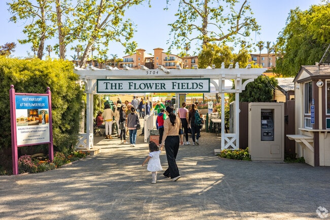 The Flower Fields in Carlsbad are one of the area's most popular attractions each spring.
