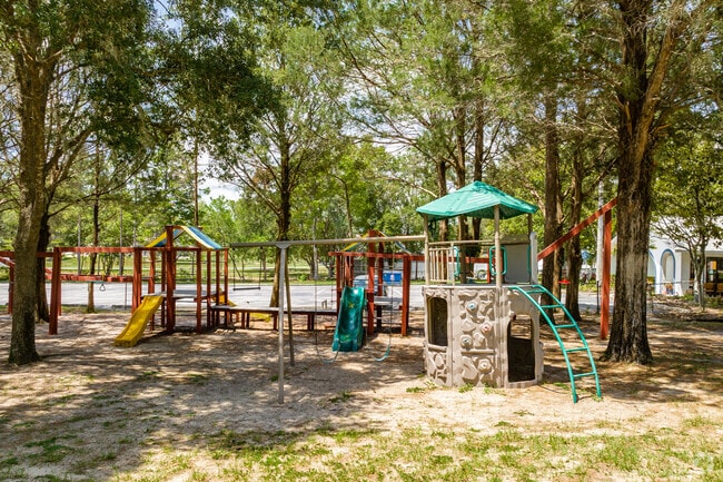 Wider Horizons the kids have a playground in the shade of trees.