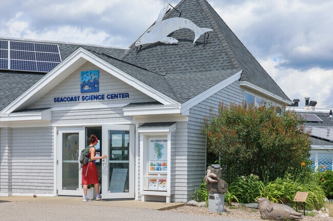 Visit the Seacoast Science Center at Odiorne Point State Park for a fun-filled day of exploration and discovery, where interactive exhibits and coastal trails bring marine science and history to life.