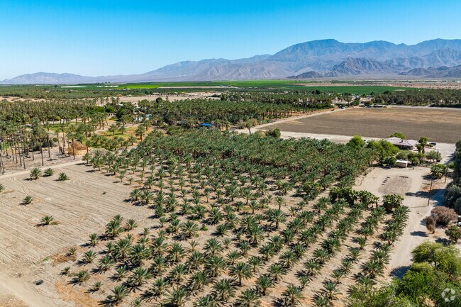 In Oasis, palm-lined streets and desert views await.