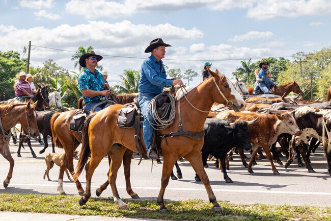 Rural activities like the annual Immokalee Cattle Drive are close to Orangetree.