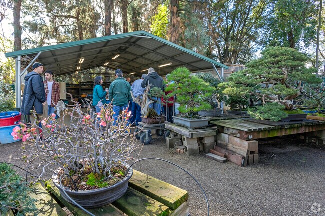 Northeast Fresno's Clark Bonsai Collection is a hidden gem available for tours year round.