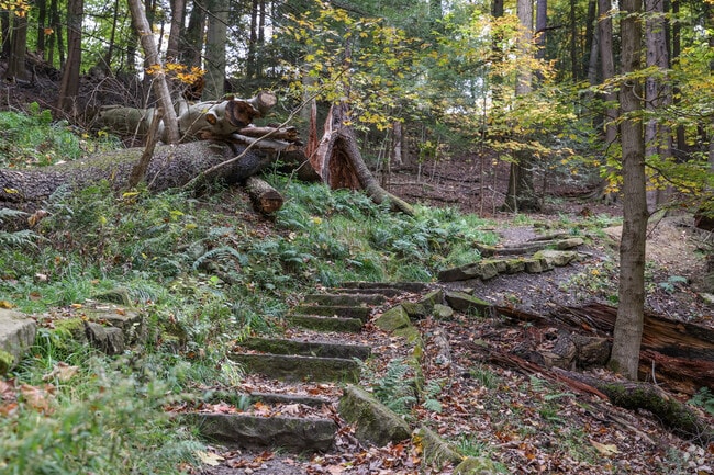 Go for a hike in the woods at Mill Creek Metroparks.