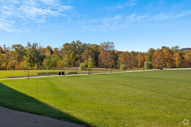 Youngstown Amphitheater  Park has a huge grass area in the Downtown Youngstown neighborhood.