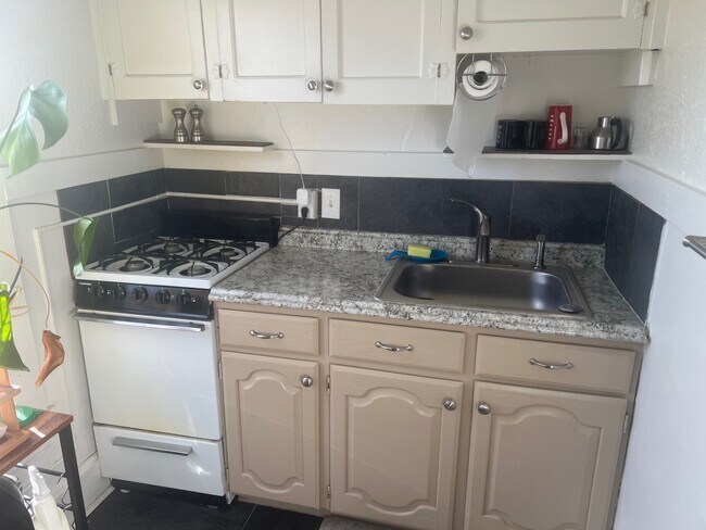 2009 N Vine St unit 2, Denver, CO 80205 - photo 5