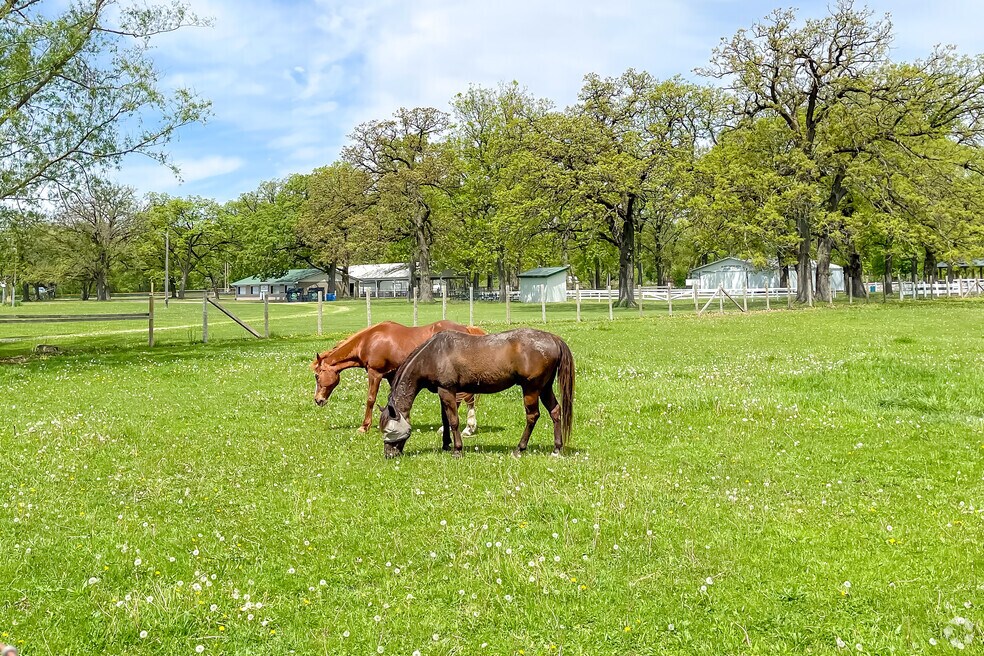 Neighborhood_Big-Rock_FINAL_030824