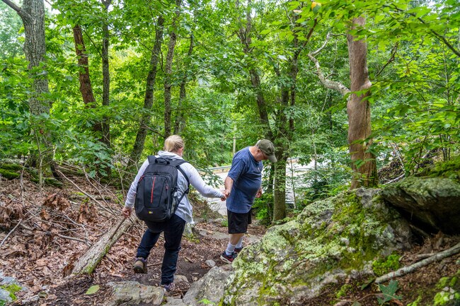 Hikers assist each other on the steep trail at Ayer's Gap in Franklin.