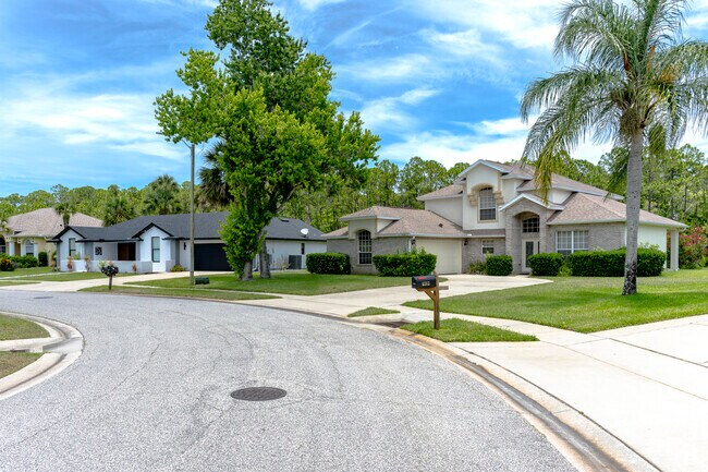 South Port Orange offers a variety of home sizes like this row of larger homes on spacious lots.