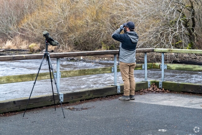 Bird watchers often visit Turtle Rock for its wooded green spaces.