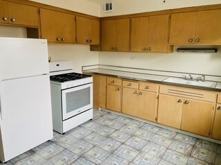 4925 Greenwood St unit 4925 Greenwood St 2E, Skokie, IL 60077 - photo 6