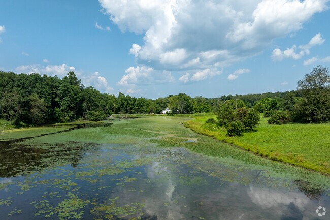 Stone Ridge Pond is a calm location for locals to boat on or fish.