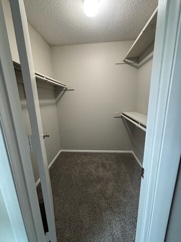 Vineyard Place Apartments, Griffin, GA 30223 - photo 7