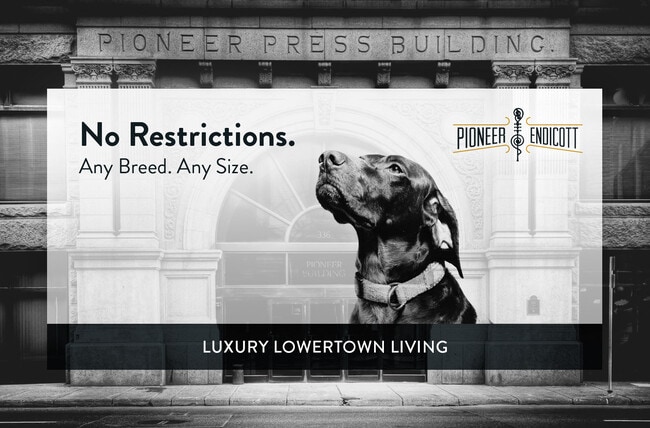 Pet Friendly - NO RESTRICTIONS!