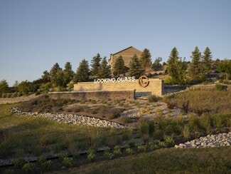 13786 DAFFODIL, PARKER, CO 80134