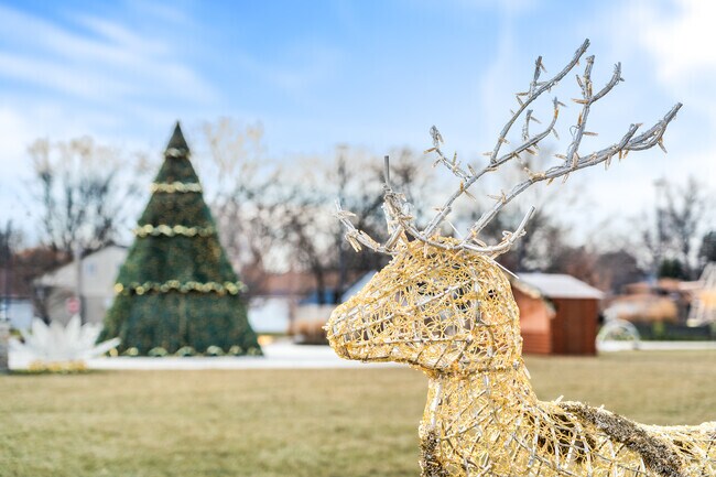 Golf Mill Park turns into a festive Christmas scene in the winter months.