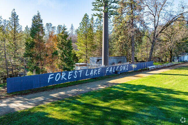 Forest Lake Christian School is the home of the falcons.