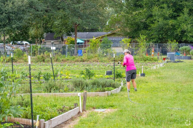 The Willowdale Urban Farm in Old East Wilmington is a volunteer project providing fresh food.