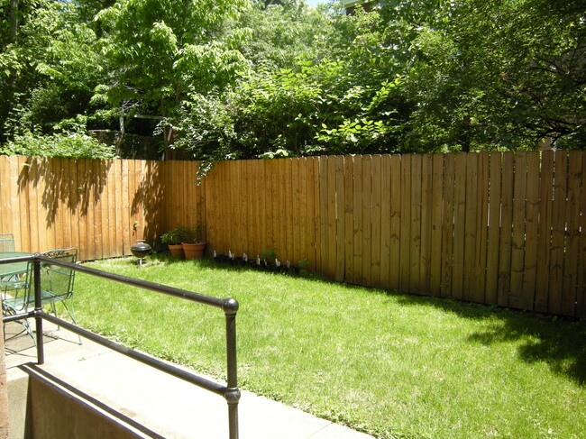 Back yard