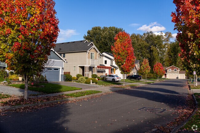 A row of lovely homes in the Pacific Neighborhood.