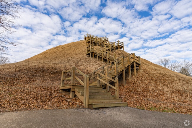 Visitors to Pinson Mounds State Park near Jackson can climb the 127 steps of Saul's Mound.