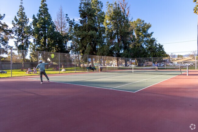 Runnymead park has clean and secure tennis courts.