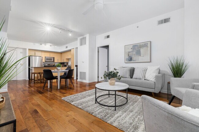open plan living/dining/kitchen