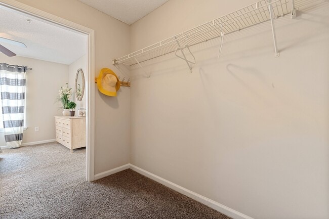 Cherry Grove Commons Apartments, North Myrtle Beach, SC 29582 - photo 7