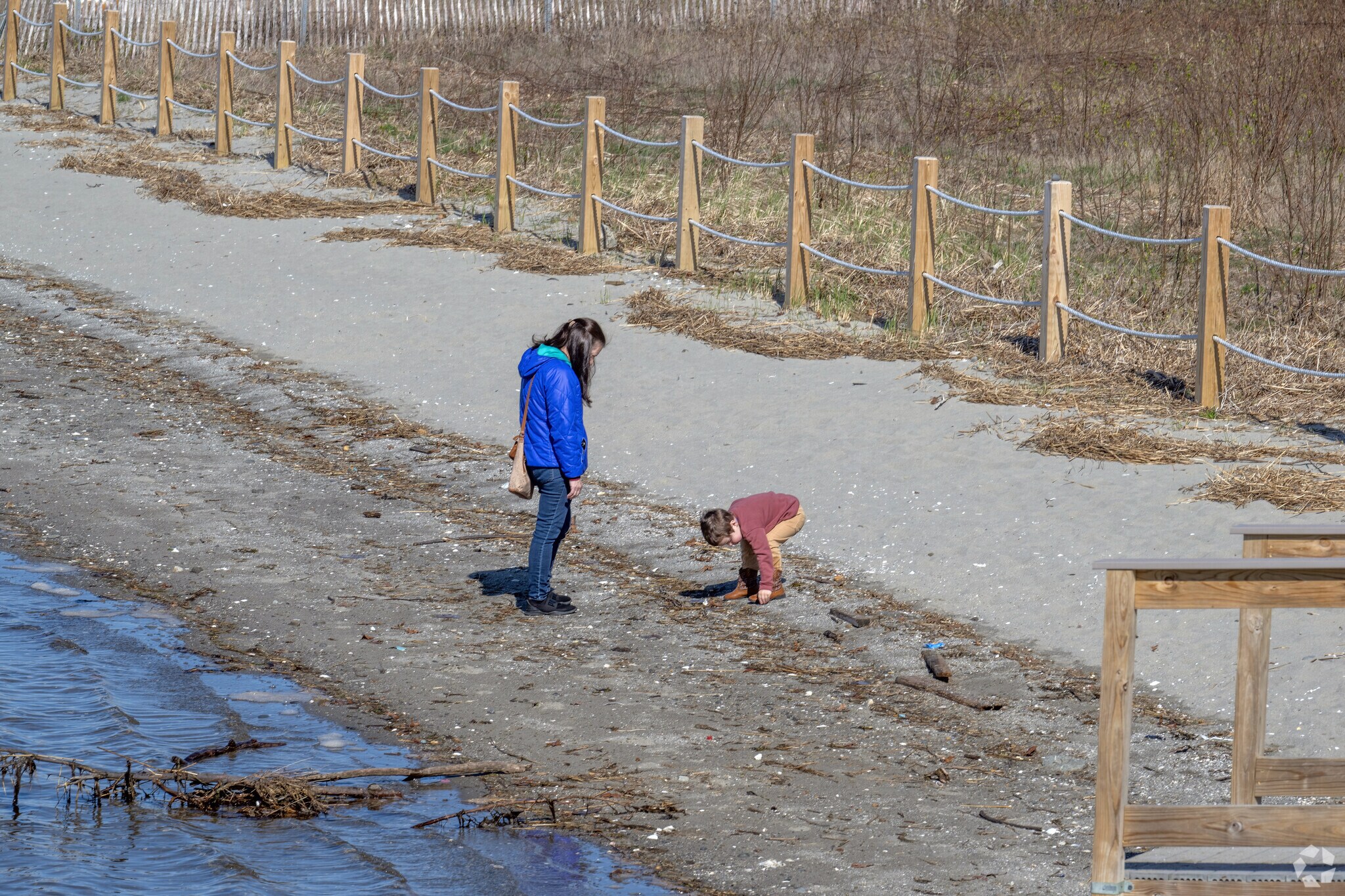 The Swansea Town Beach in Ocean Grove is a magical place to explore the wonders of ocean life.