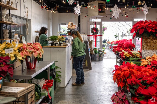Decorate your Kelsey Norman North home with flowers form the Joplin Greenhouse.