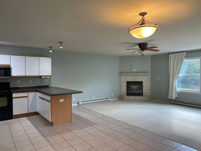 Dual-fuel, gas fireplace